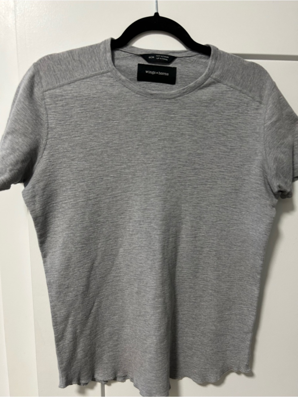 Wings + Horns Slub Tee